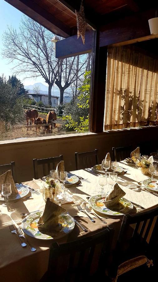 הוילה Belvedere Ostrense La Collina Dei Cavalieri מראה חיצוני תמונה