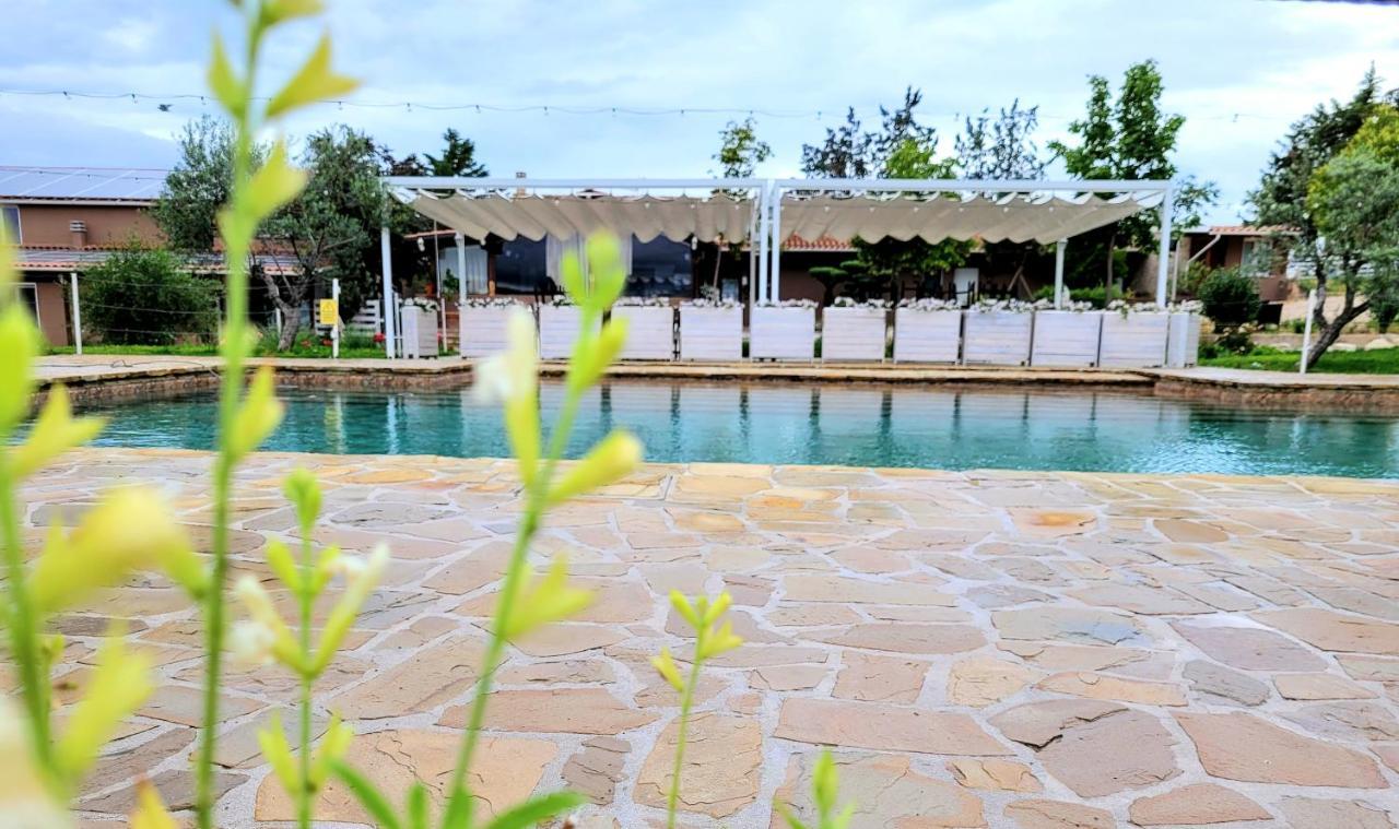 הוילה Belvedere Ostrense La Collina Dei Cavalieri מראה חיצוני תמונה