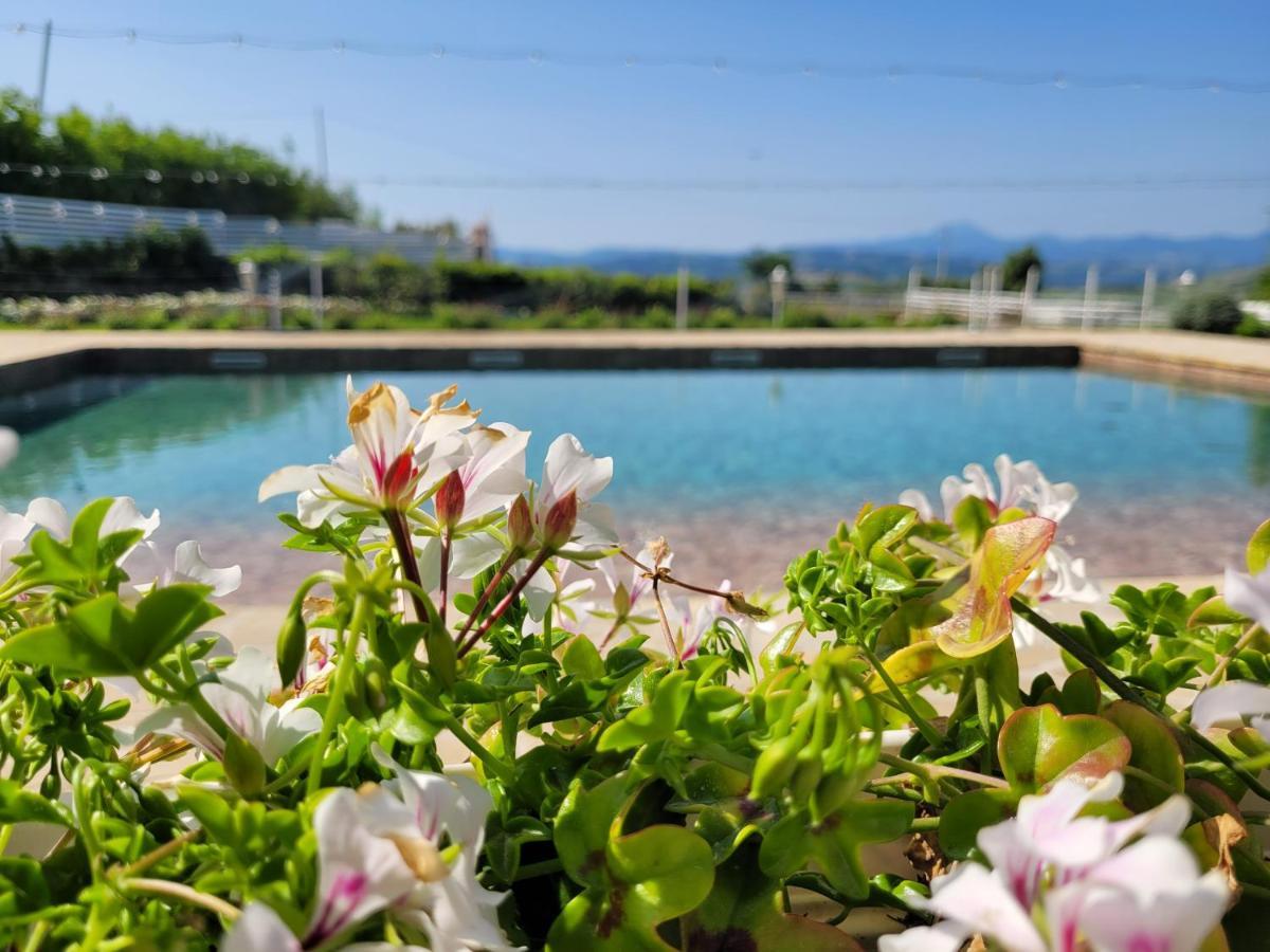 הוילה Belvedere Ostrense La Collina Dei Cavalieri מראה חיצוני תמונה