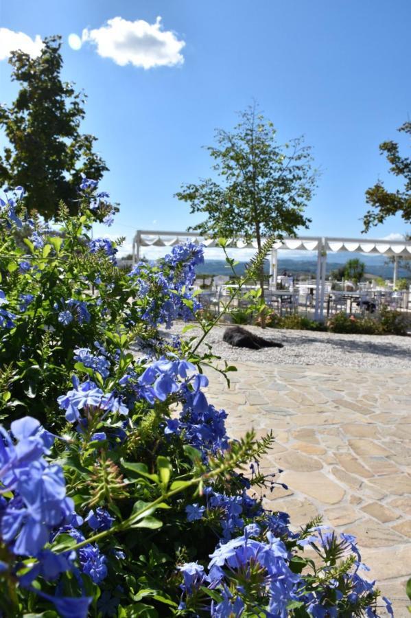 הוילה Belvedere Ostrense La Collina Dei Cavalieri מראה חיצוני תמונה
